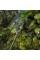 Тент камуфляж CAMOforest, 6х12м, 90 г/м²
