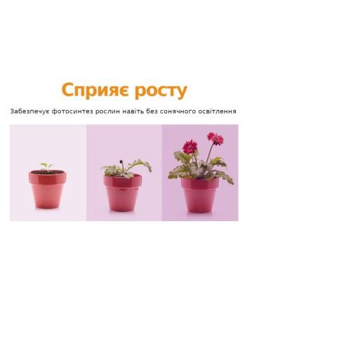 Фитопанель AD1W-150-10L 152 (D1, 25W-81 диод, красный и синий) Фитопанель AD1W-150-10L 152 (D1, 25W-81 диод, красный и синий)