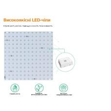 Фитопанель AD1W-150-10L 152 (D2, 25W-81 диод, розовый и фиолетовый)