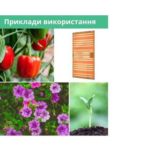 Светодиодная квантовая плата AD1W-100-1DL12 (средняя) Светодиодная квантовая плата AD1W-100-1DL12 (средняя)
