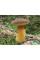 Мицелий Польского гриба / Моховик каштановый (Xerocomus badius), 120 г