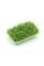 Семена микрозелени Кресс-салат 12 г - "Домашний фермер"
