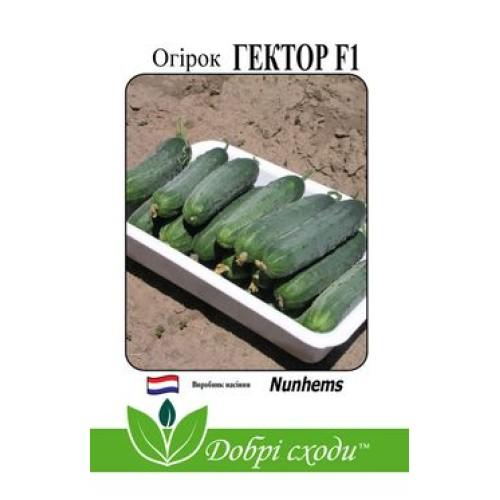 Огурцы Гектор F1 (20 шт) - Nunhems