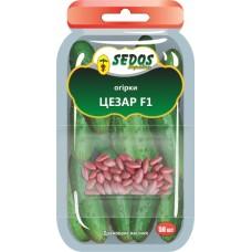 Огірки Цезар F1 (30 дражованого насіння) - SEDOS